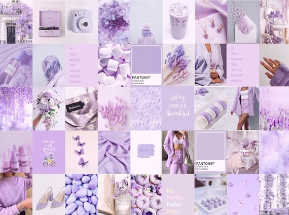 Free Lavender Butterfly Wallpaper  Download in JPG  Templatenet