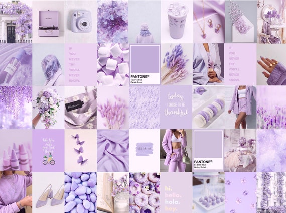 Free Lavender Butterfly Wallpaper  Download in JPG  Templatenet