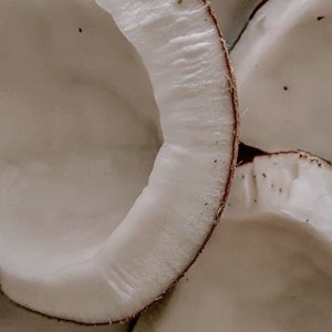 May include: Close-up of several white coconut halves with brown edges. The coconuts are arranged in a way that shows the inside of the shells.