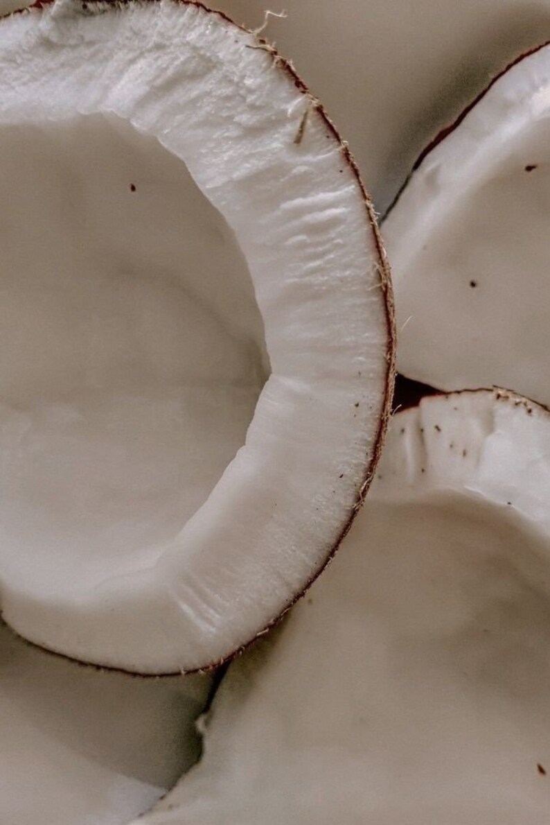 May include: Close-up of several white coconut halves with brown edges. The coconuts are arranged in a way that shows the inside of the shells.