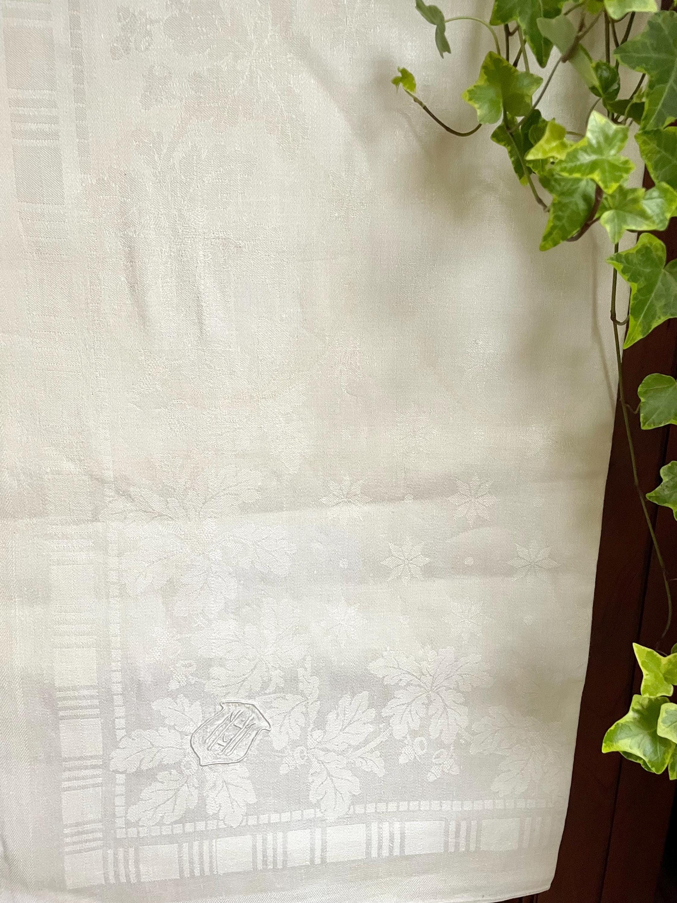 Texpot Texpo Serviettes Damassée 40 X 40 Cm - 6 Pièces, Blanche, Avec Bordure Satinée, Lavable à 95 °C, Taille Au Choix