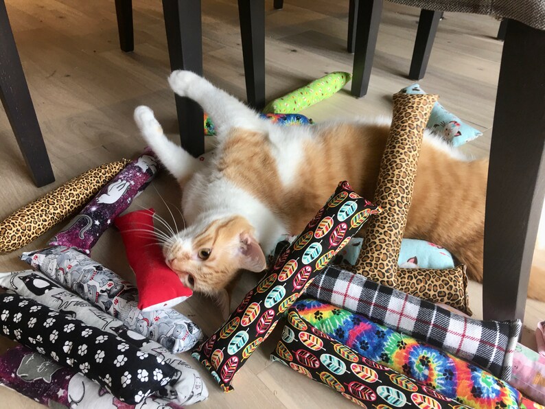 Kick Stick Catnip Cat Toy set of 3. Fun cat toy organic Etsy