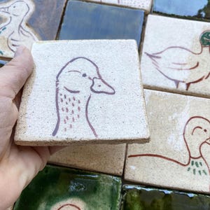 AZULEJOS DE PATO