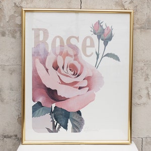 Botanical Print / Botanical Prints / Rose Print / Framed Print / Flower Print / Vintage Rose Print / Vintage Rose Print / Framed Rose Print