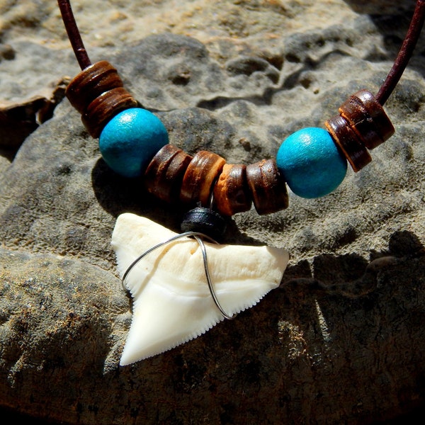 Dent de requin, collier avec dent de requin véritable, collier surfeur, collier dent de requin, collier cuir, dent de requin, perles en bois turquoise,