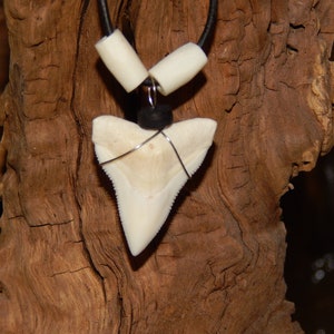 große, ECHTE Haizahnkette aus hochwertigem Leder mit Haifischzahn,Knochenperlen,Naturprodukt,handmade,Surferkette 04