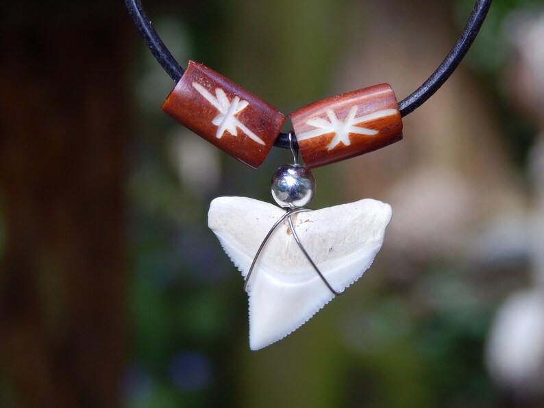 Collier en cuir avec de la vraie dent de requin Etsy France