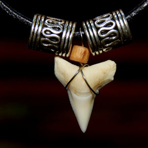 echter Haifischzahn auf Lederkette, mit Metallperlen,Surferkette,Haizahnkette,Halskette,Jungen,Mädchen,Männer,Frauen,Echtleder,Kette  05