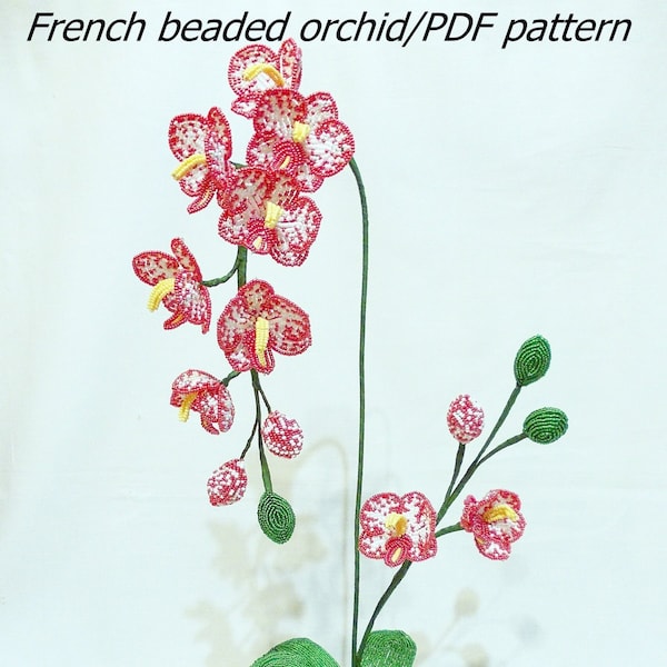 Modèle d'orchidée perlée, schéma de création d'orchidée, pdf d'orchidée, tutoriel d'orchidée perlée