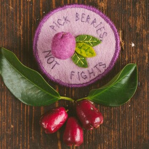 Felt handmade badge with a lilli pilli fruit and some leaves, the text reads: Pick berries, not fights