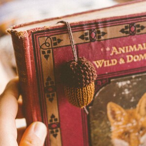 An acorn charm is hanging over the shut book. The book features an image of a fox