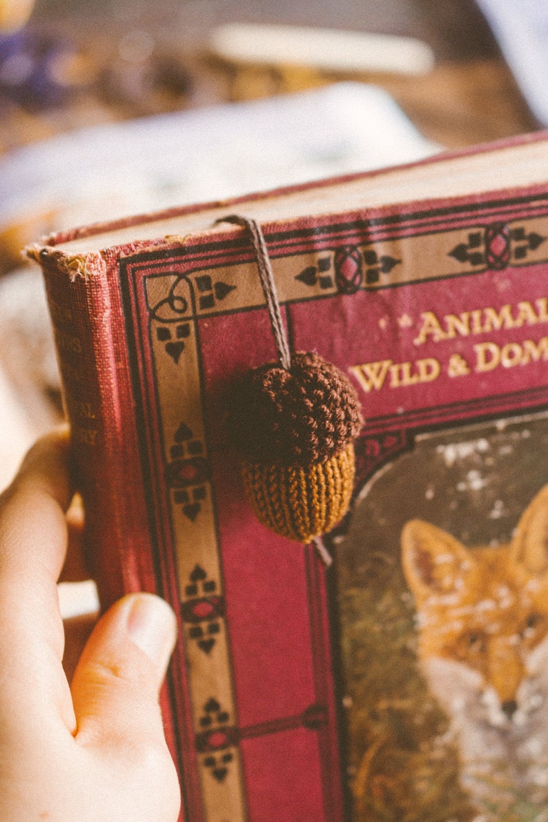 An acorn charm is hanging over the shut book. The book features an image of a fox