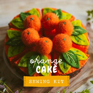 Kit de costura DIY de pastel de naranja de fieltro, ideal para principiantes