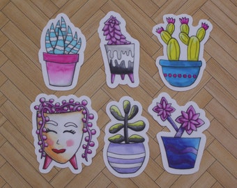 Potted Plants Series 1 - Die Cut Weatherproof Permanent Vinyl Sticker - Small Succulent Cactus Subtle Zebra Plant String of Pearls Pride