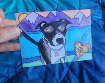 The "Colorado BFF's" Gratitude & Appreciation Greeting Card Collection