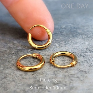 Mini Creole, Gold, Piercing, Helix, Tragus, 8mm,Hoop, Conch, Cartilage, Piercing, Clicker, Muschel Creole