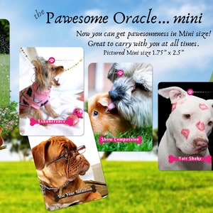 Le jeu Oracle Pawesome Dog, cartes Oracle