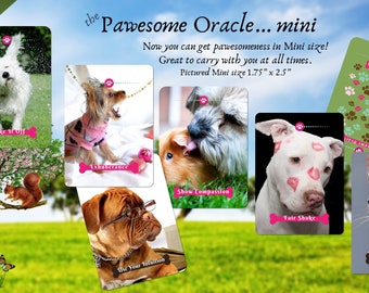 The Pawesome Dog Oracle Deck, Oracle Cards
