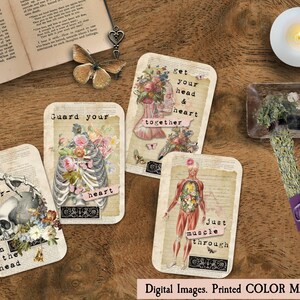 K&ouml;nnte beinhalten: Vier Karten im Vintage-Stil mit anatomischen Illustrationen und inspirierenden Texten. Die Karten zeigen einen Sch&auml;del, einen Brustkorb, einen menschlichen Torso und einen Kopf mit Blumen. Der Text auf den Karten lautet: "Pat your self on the head", "Guard your heart", "Get your head & heart together", und "Just muscle through".