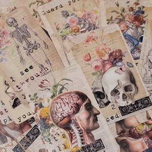 K&ouml;nnte beinhalten: Eine Collage aus Bildern im Vintage-Stil mit anatomischen Illustrationen, Sch&auml;deln, Blumen und Text. Der Text enth&auml;lt S&auml;tze wie "Ich sehe durch dich" und "Bewahre dein Herz".