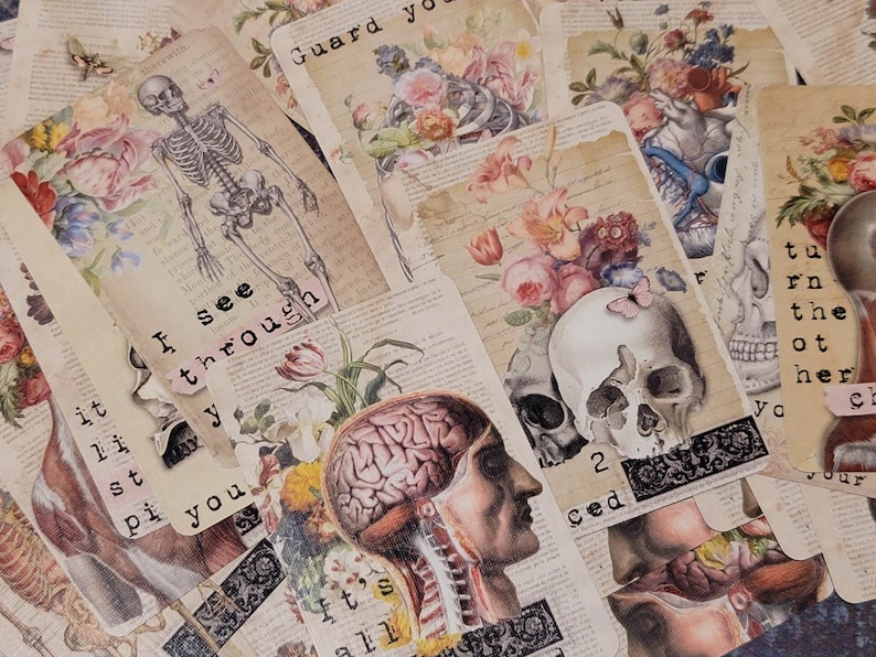 K&ouml;nnte beinhalten: Eine Collage aus Bildern im Vintage-Stil mit anatomischen Illustrationen, Sch&auml;deln, Blumen und Text. Der Text enth&auml;lt S&auml;tze wie "Ich sehe durch dich" und "Bewahre dein Herz".