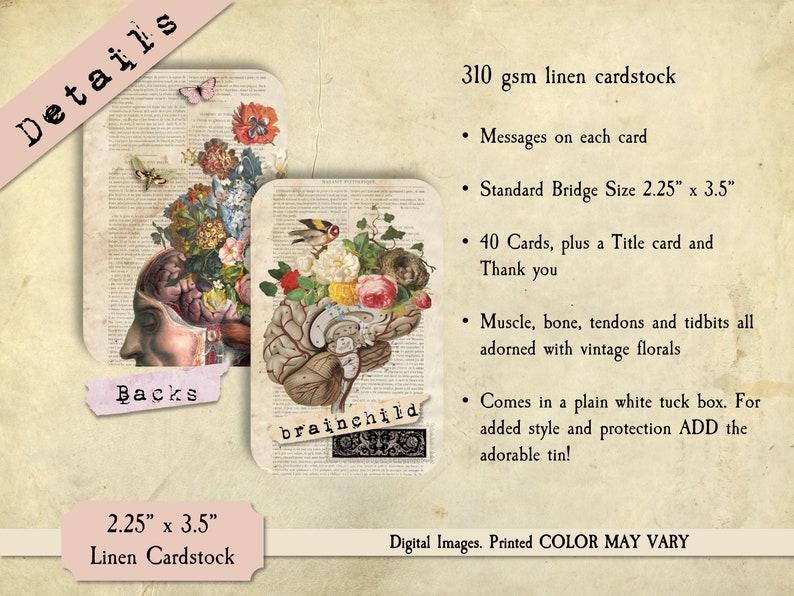 K&ouml;nnte beinhalten: Set mit 40 leeren Gru&szlig;karten mit Vintage-anatomischen Illustrationen des Gehirns mit floralen Akzenten. Die Karten sind 5,7 cm x 8,9 cm gro&szlig; und auf 310 g/m&sup2; starkem Leinenkarton gedruckt. Der Text "brainchild" ist auf einer der Karten gedruckt.
