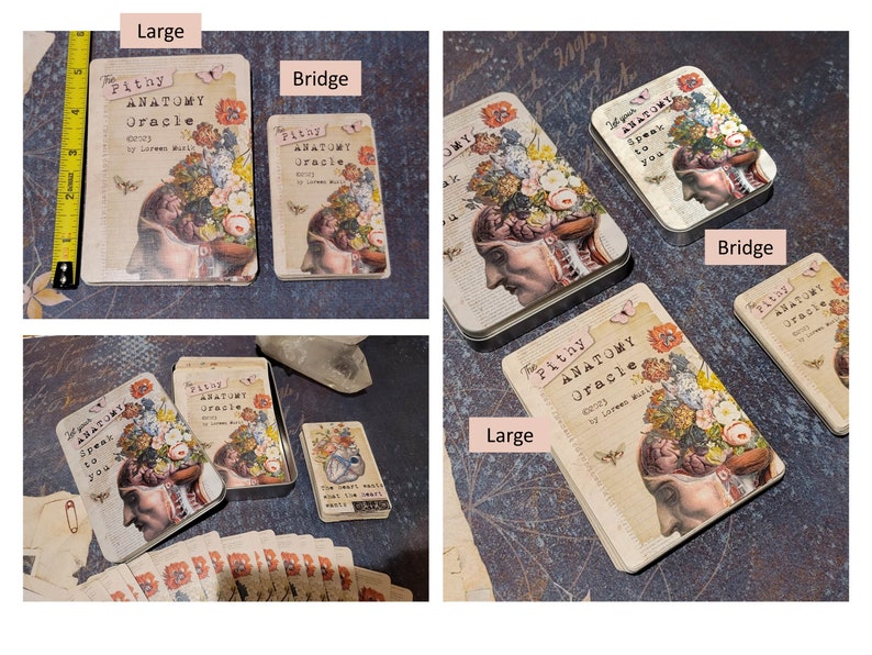 K&ouml;nnte beinhalten: Zwei unterschiedlich gro&szlig;e Blechdosen, die ein Deck Orakelkarten enthalten. Die gr&ouml;&szlig;ere Dose ist mit "The Pithy Anatomy Oracle" beschriftet, die kleinere Dose mit "The Pithy Anatomy Oracle". Beide Dosen zeigen eine Vintage-anatomische Illustration eines menschlichen Kopfes mit Blumen, die aus der Oberseite wachsen.