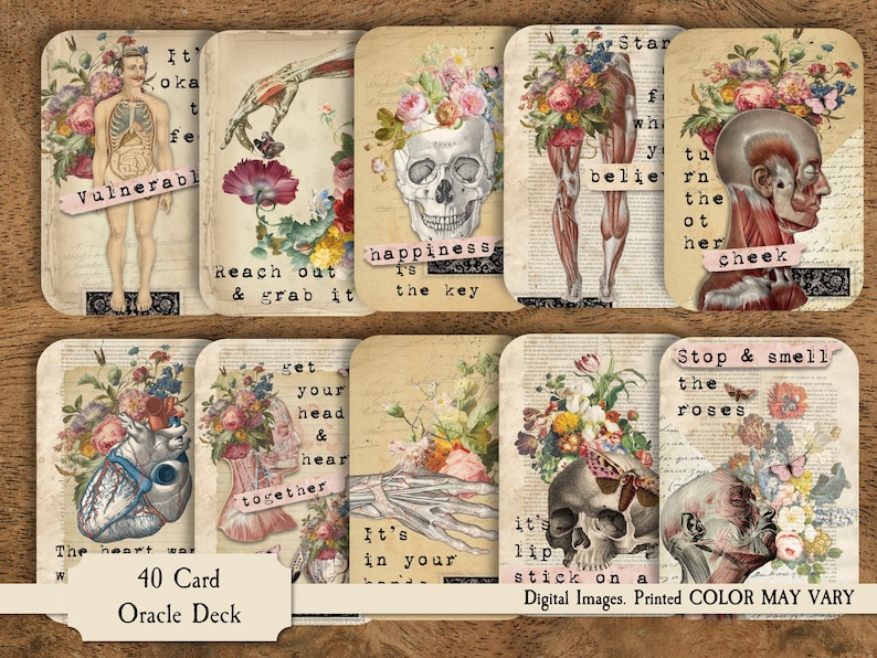 K&ouml;nnte beinhalten: Ein Set mit 40 Orakelkarten mit Vintage-Illustrationen, die anatomische Zeichnungen, Blumen und Sch&auml;del zeigen. Die Karten haben Text darauf, wie "Vulnerabel", "Gl&uuml;ck ist der Schl&uuml;ssel" und "Halt an und rieche die Rosen".