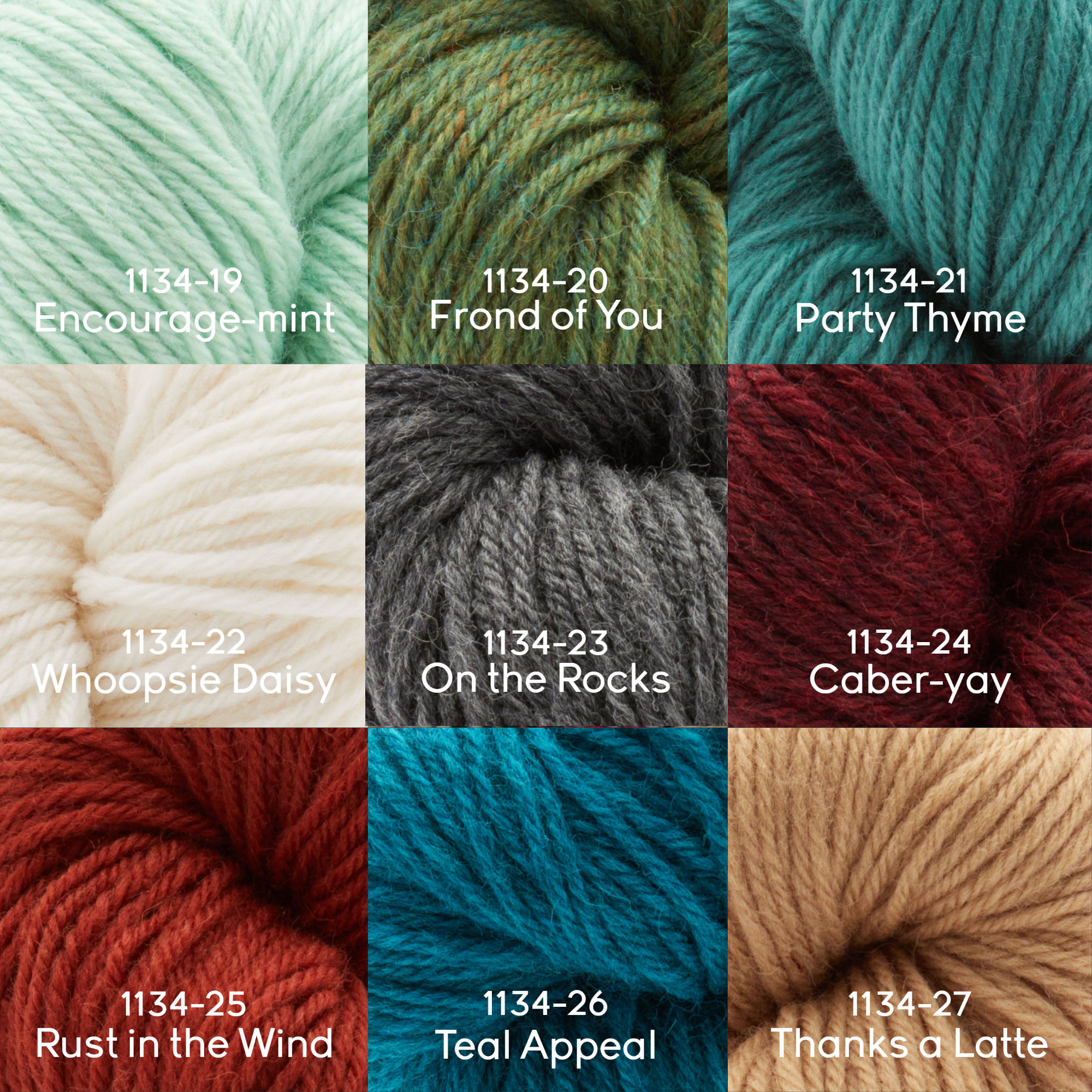 Stitch Please™ Superwash Chunky – Premier Yarns