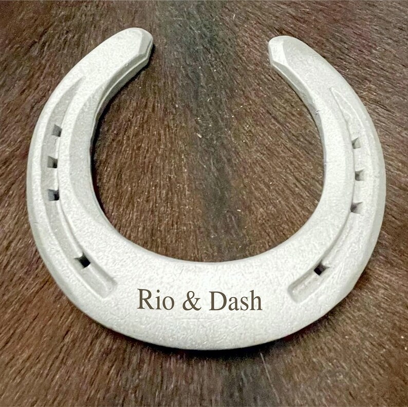 Lucky Horseshoes in Horseshoe Box new Address Etsy