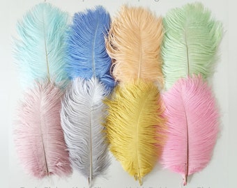 10 x 10&quot;- 12&quot;Ostrich Feathers Various Length Wedding Centre Piece Decor Costume Party Craft Fascinator Light