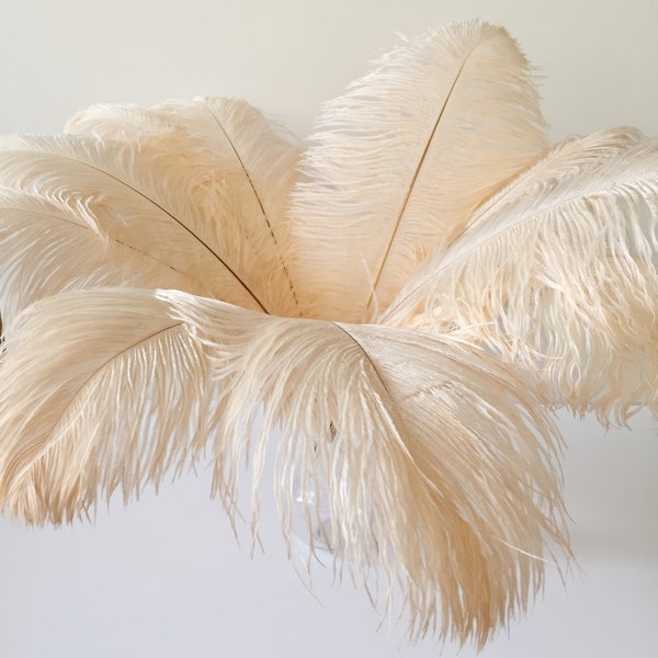 Large Ostrich Feather Plume 45-55cm for Hat, Millinery, Fascinator, Wedding Centre Piece Decor Costume Party Craft