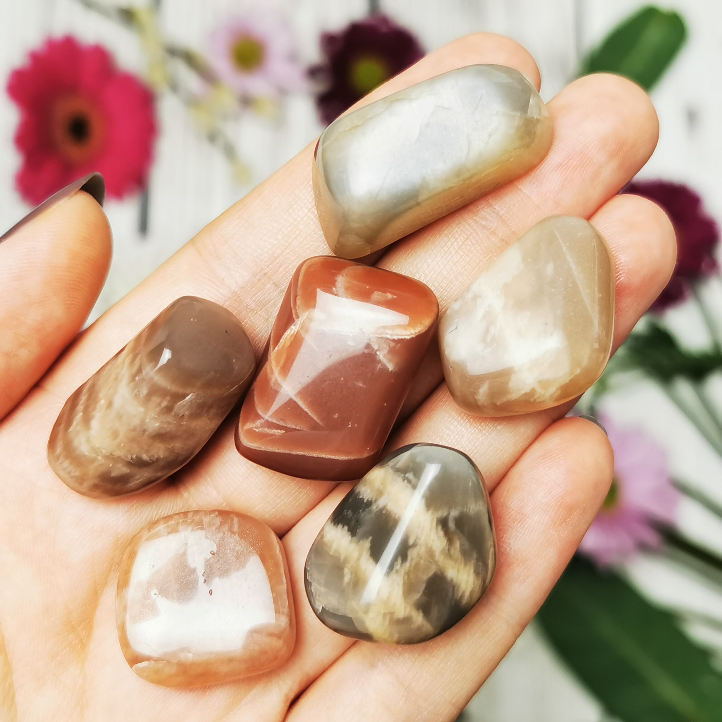 Tumbled Moonstone Crystals Crystals and Gemstones Etsy