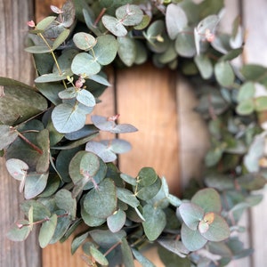 Fresh eucalyptus wreath Spring wreath Fresh door wreath Communion wreath Mother's Day gift Wedding wreath image 6