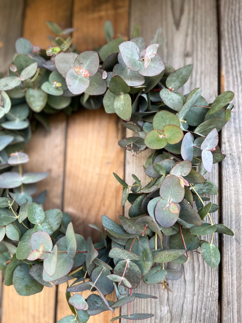 Fresh eucalyptus wreath Spring wreath Fresh door wreath Communion wreath Mother's Day gift Wedding wreath image 4