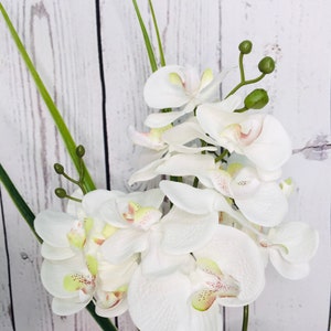 Orchideen Weiß Kunstblumen Muttertagsgeschenk Bild 4