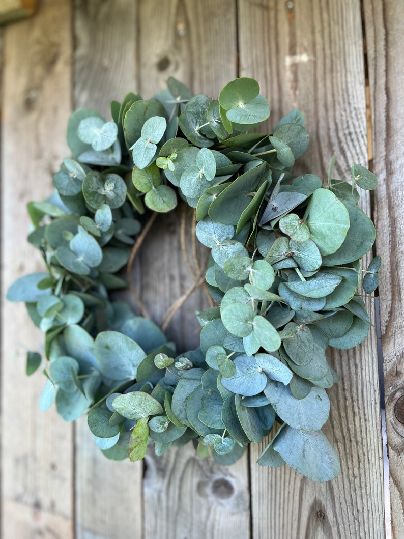 Fresh eucalyptus wreath Spring wreath Fresh door wreath Communion wreath Mother's Day gift Wedding wreath image 2