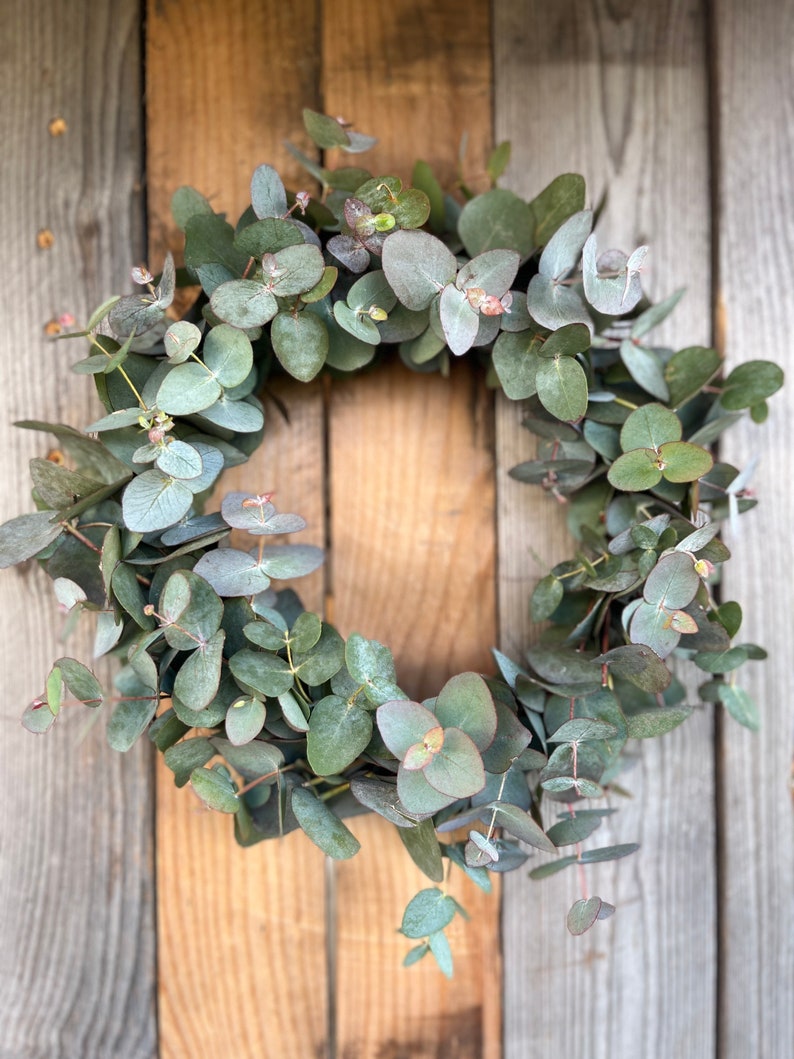 Fresh eucalyptus wreath Spring wreath Fresh door wreath Communion wreath Mother's Day gift Wedding wreath image 5