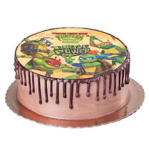 Op de afbeelding: Een chocoladetaart met een eetbaar beeld van de Teenage Mutant Ninja Turtles erop. De afbeelding toont de vier schildpadden, de woorden "Teenage Mutant Ninja Turtles" en "Turtle Power".