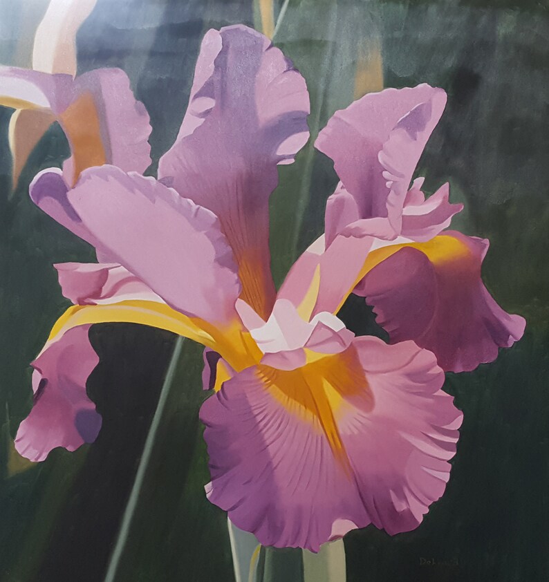 Violet Dutch Iris Original Oil Painting Etsy