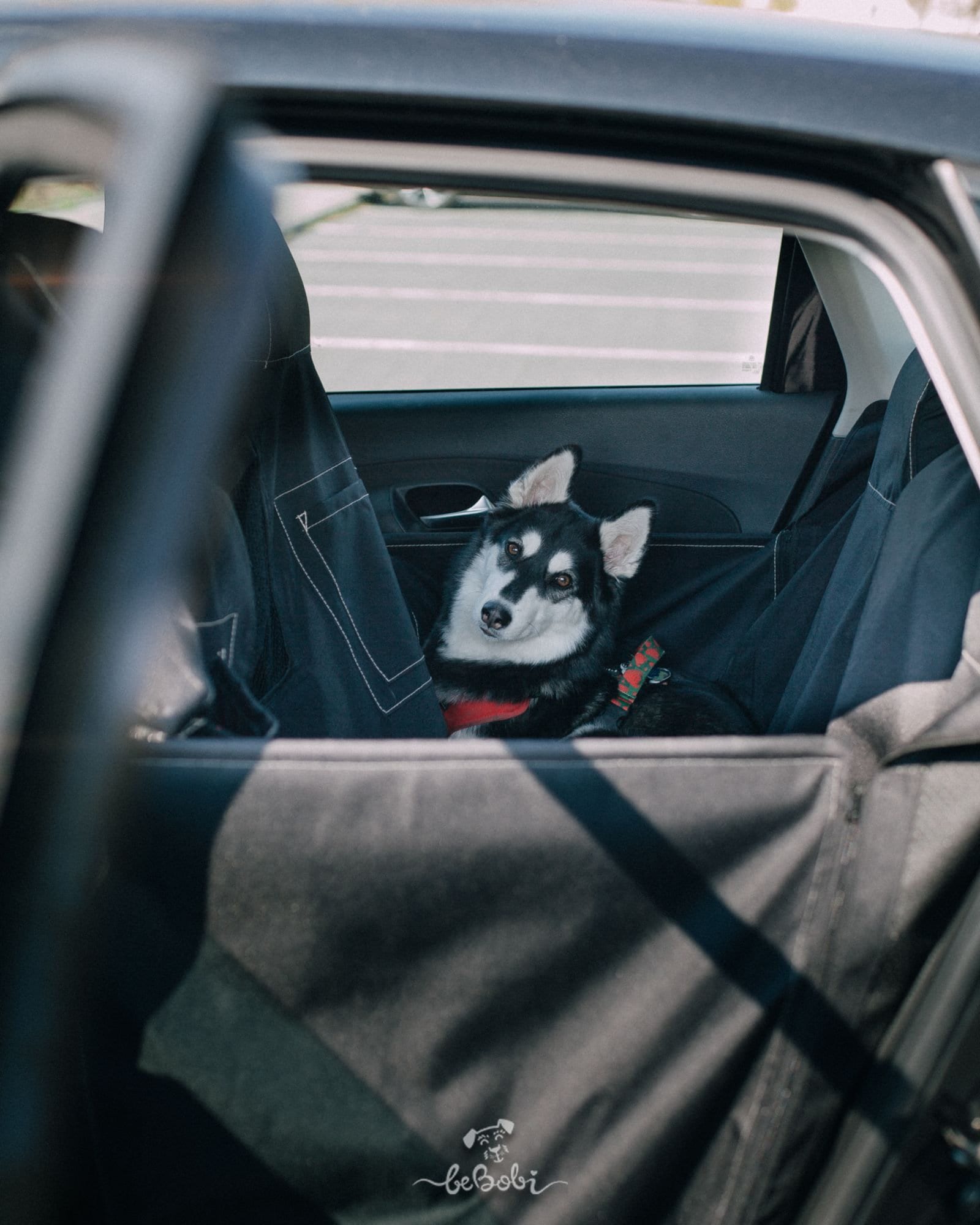 Dog Car Seat Cover For Back Seat Half Or Full - Togo