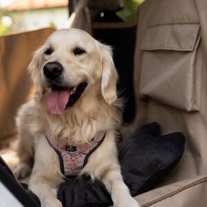 May include: A golden retriever dog wearing a pink floral dog harness sits in the back seat of a car. The dog is looking to the right of the frame and has its tongue sticking out. The car seat is covered in a beige fabric with a black pocket and a black pillow.