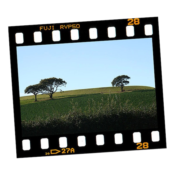 Custom slides / film strips colour personalised from digital images your pictures for slide projector, cards, crafts, lamps, lights