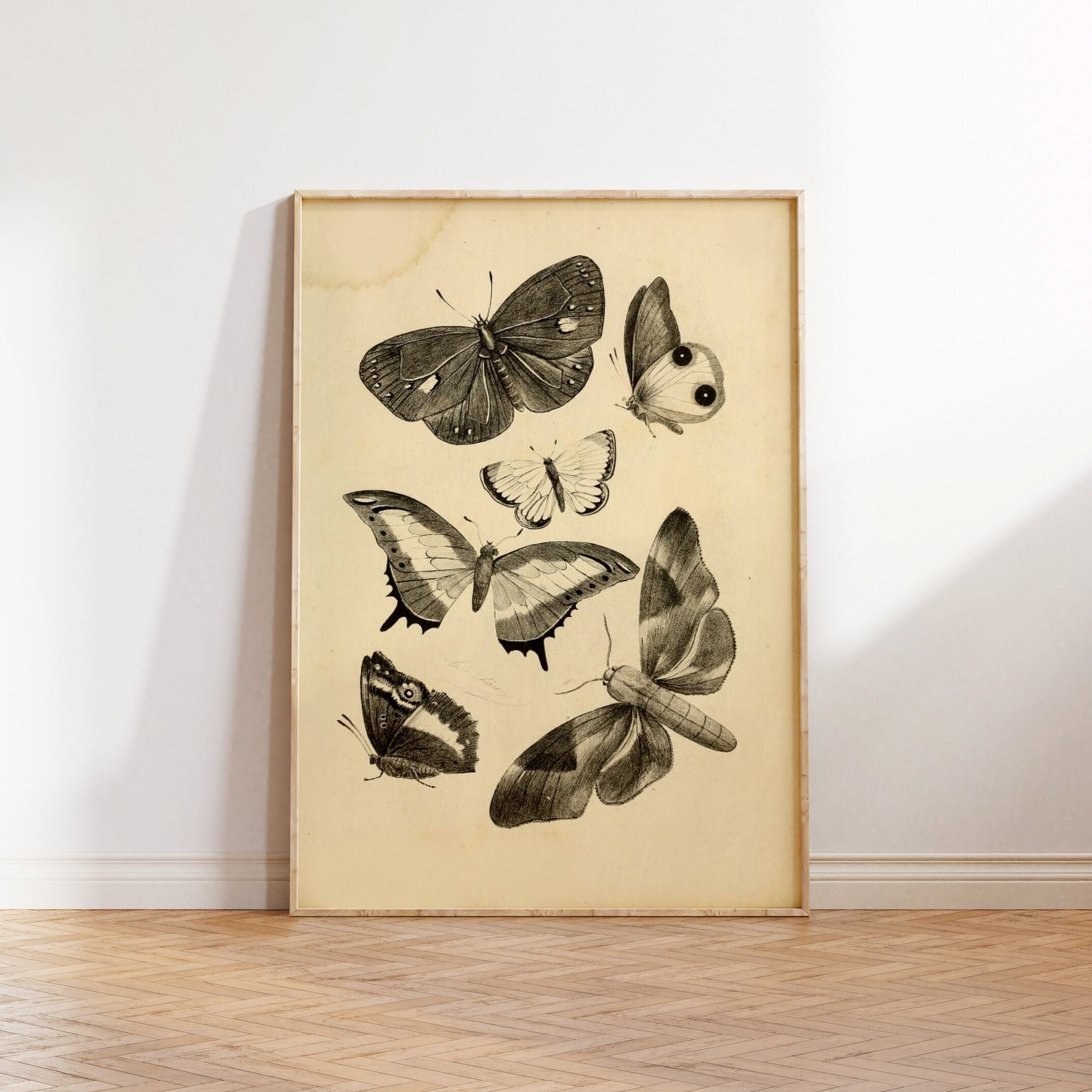 VINTAGE Butterfly Art Print, Antique Botanical Wall Decor, Spring ...