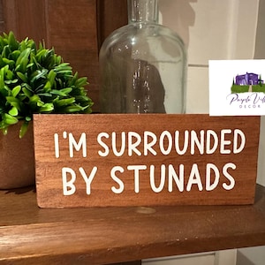 May include: A wooden sign with the text "I'm surrounded by stunads" in white lettering. The sign is sitting on a wooden shelf with a green plant and a clear glass bottle in the background.