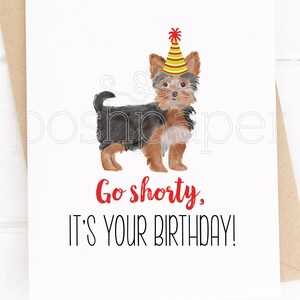Pode incluir: Um cart&atilde;o de anivers&aacute;rio com uma ilustra&ccedil;&atilde;o em aquarela de um Yorkshire Terrier usando um chap&eacute;u de festa vermelho, amarelo e verde. O texto no cart&atilde;o diz "Go shorty, it's your birthday!"