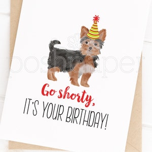 Pode incluir: Um cart&atilde;o de anivers&aacute;rio com uma ilustra&ccedil;&atilde;o em aquarela de um c&atilde;o pequeno usando um chap&eacute;u de festa vermelho e amarelo. O texto no cart&atilde;o diz "Go shorty. It's your birthday!"