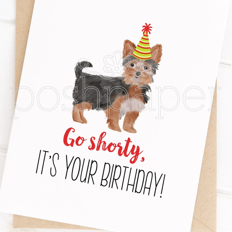 Pode incluir: Um cart&atilde;o de anivers&aacute;rio com uma ilustra&ccedil;&atilde;o em aquarela de um c&atilde;o pequeno usando um chap&eacute;u de festa vermelho e amarelo. O texto no cart&atilde;o diz "Go shorty. It's your birthday!"