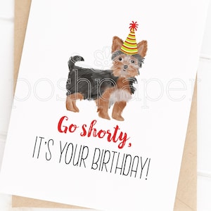 Pode incluir: Um cart&atilde;o de anivers&aacute;rio com uma ilustra&ccedil;&atilde;o em aquarela de um c&atilde;o pequeno usando um chap&eacute;u de festa vermelho e amarelo. O texto no cart&atilde;o diz "Go shorty. It's your birthday!"