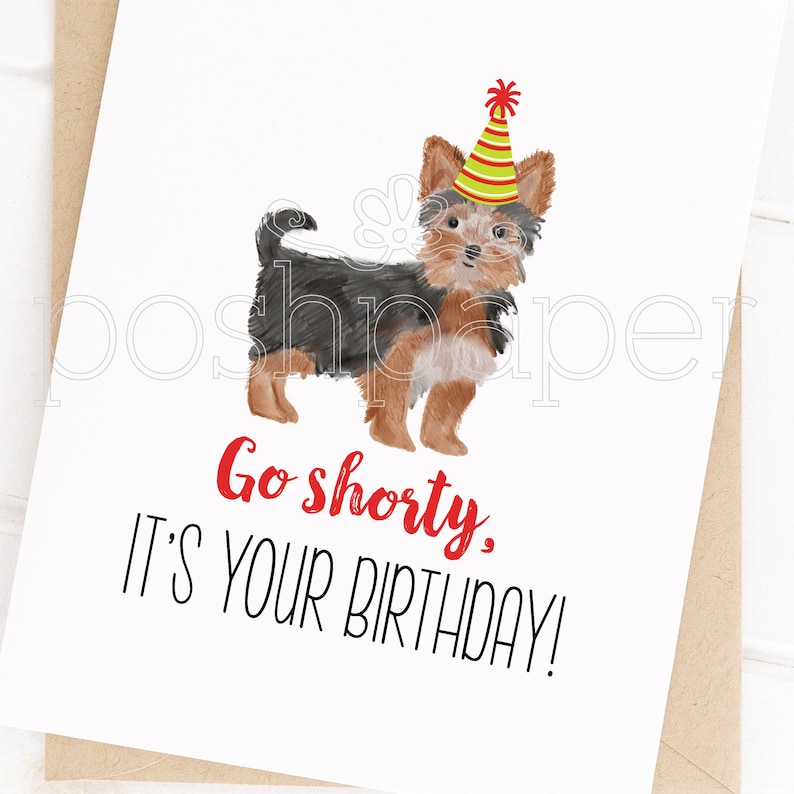 Pode incluir: Um cart&atilde;o de anivers&aacute;rio com uma ilustra&ccedil;&atilde;o em aquarela de um c&atilde;o pequeno usando um chap&eacute;u de festa vermelho e amarelo. O texto no cart&atilde;o diz "Go shorty. It's your birthday!"